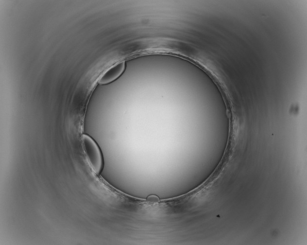 X0000115000809200911091357