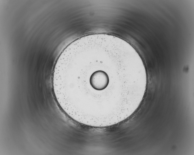 X0000115000810200911091357