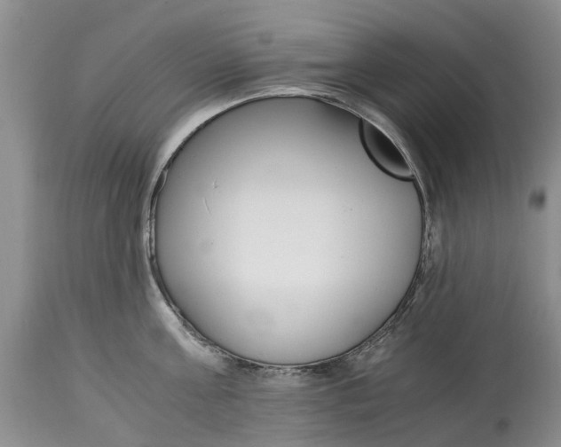 X0000115000811200911091357