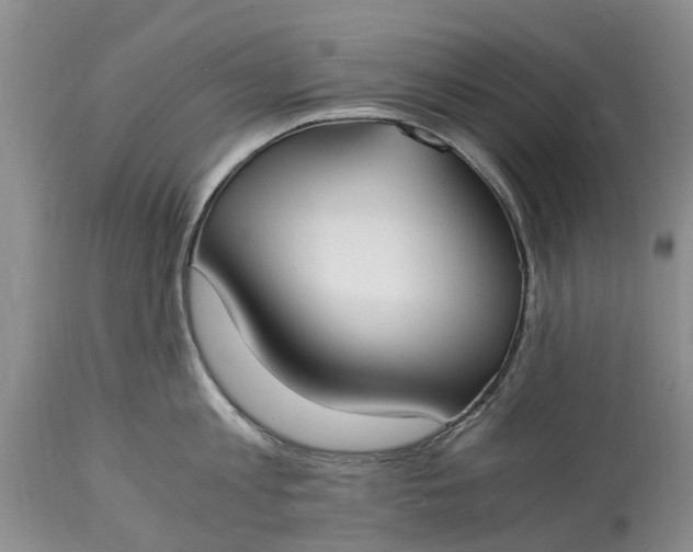 X0000115000813200911091357