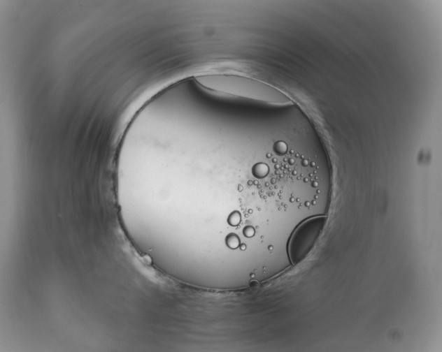 X0000115000816200911091356