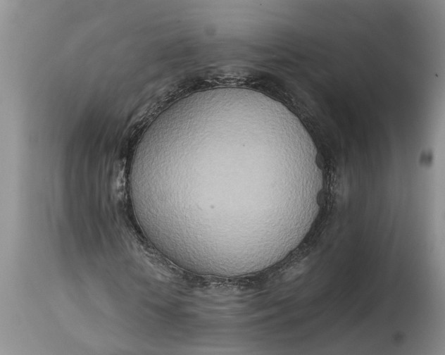 X0000115000818200911091356