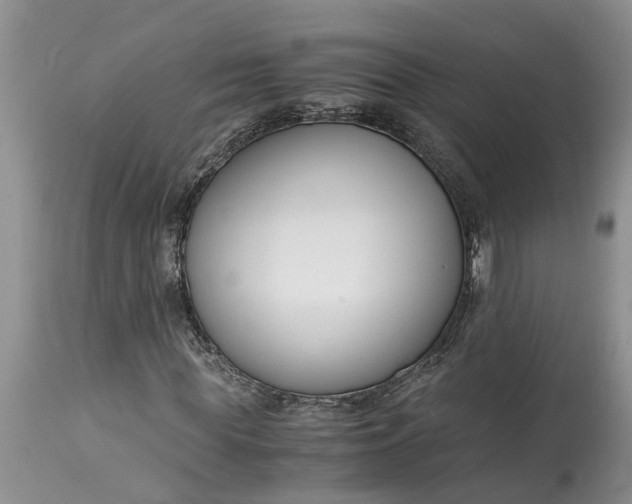 X0000115000819200911091356