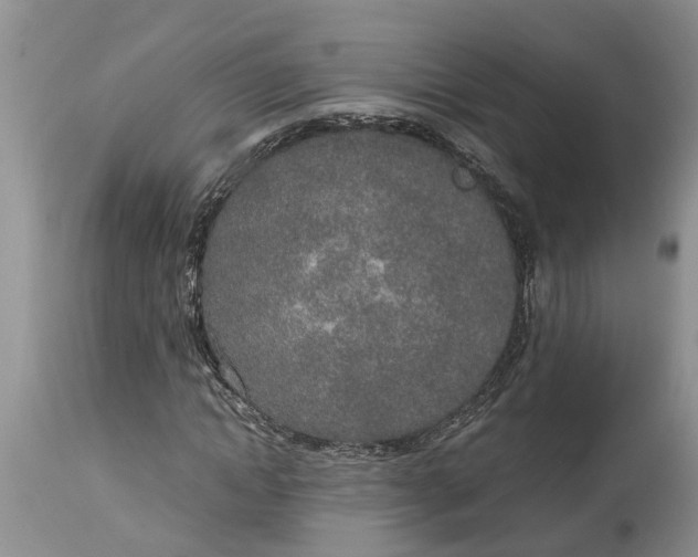 X0000115000822200911091356
