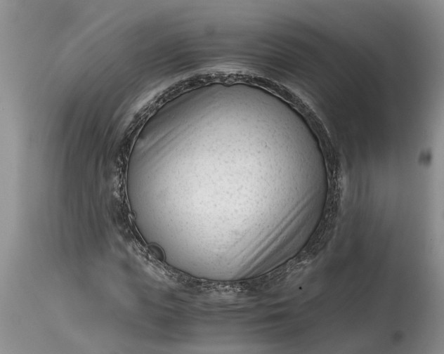 X0000115000823200911091356