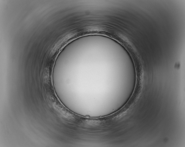 X0000115000825200911091356