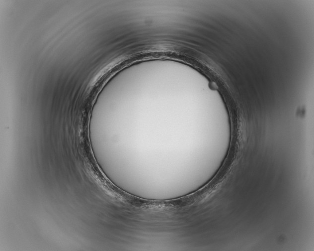 X0000115000826200911091356