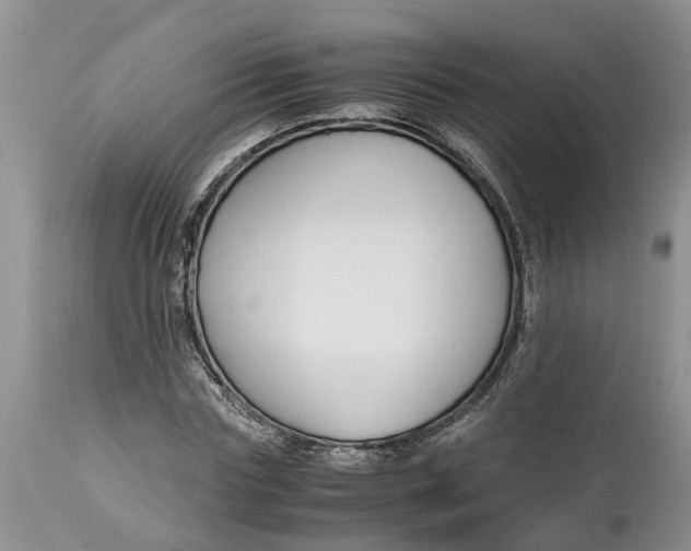 X0000115000827200911091356