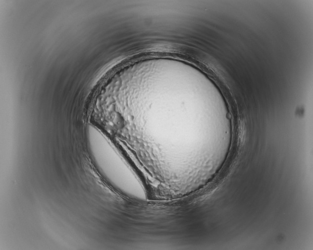 X0000115000829200911091356
