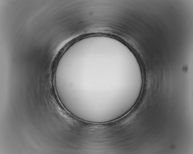 X0000115000830200911091356