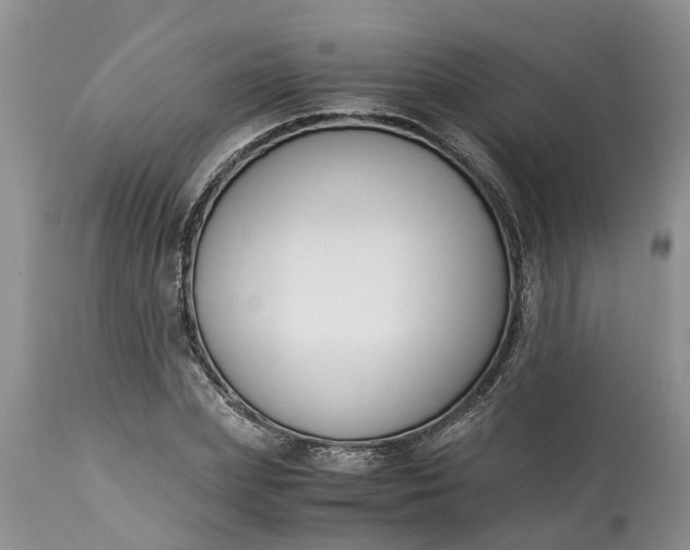 X0000115000831200911091356