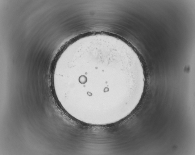 X0000115000832200911091356