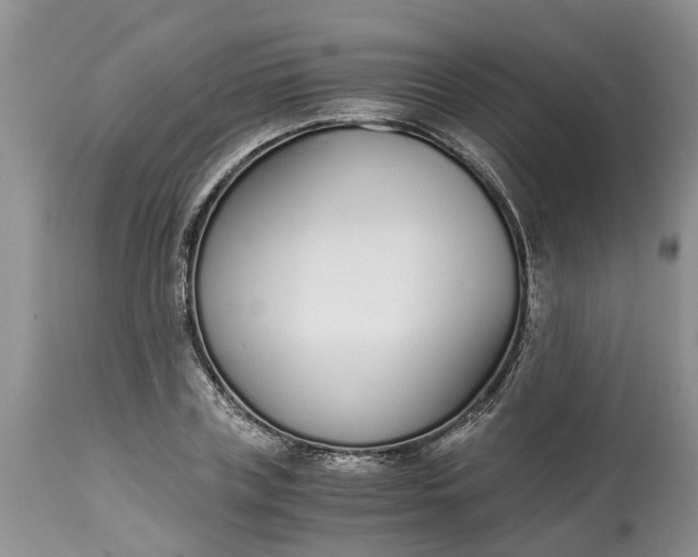 X0000115000835200911091356