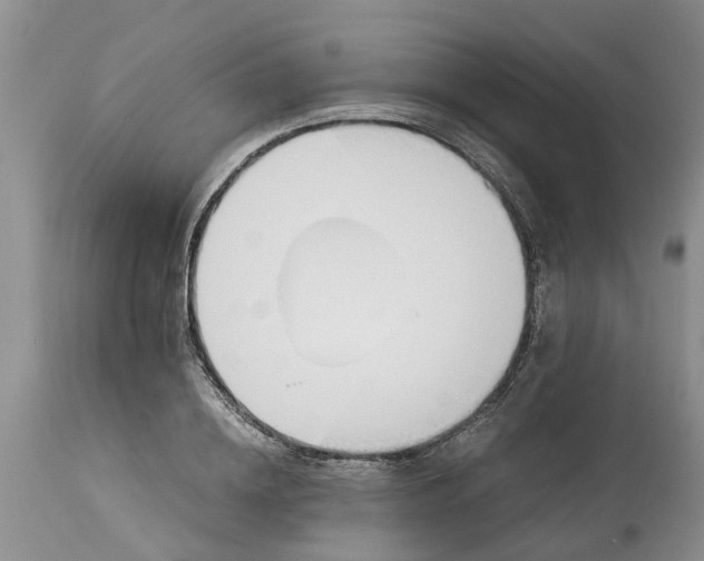 X0000115000836200911091356