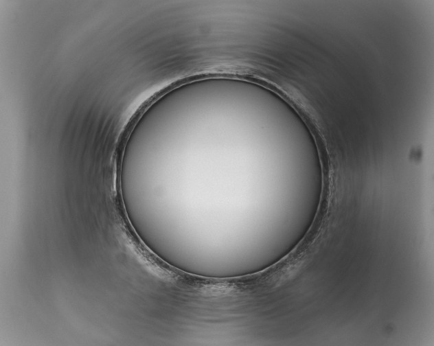 X0000115000838200911091356