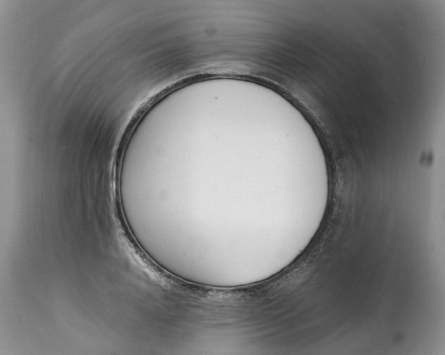X0000115000840200911091356