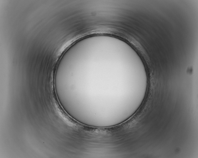 X0000115000842200911091356