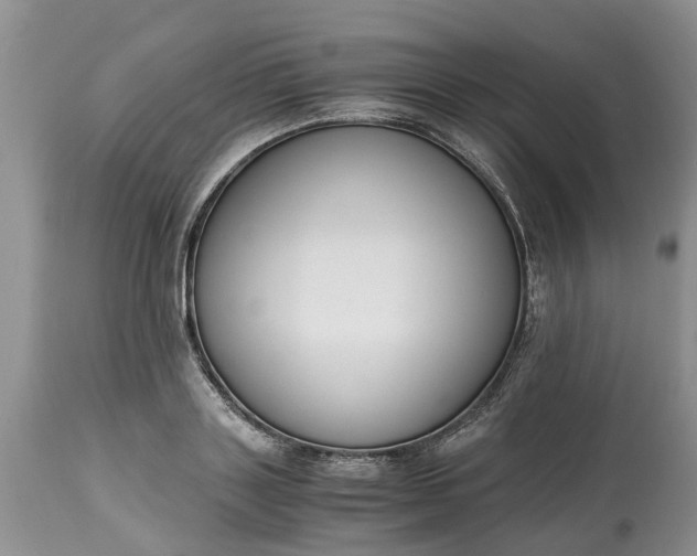 X0000115000843200911091356