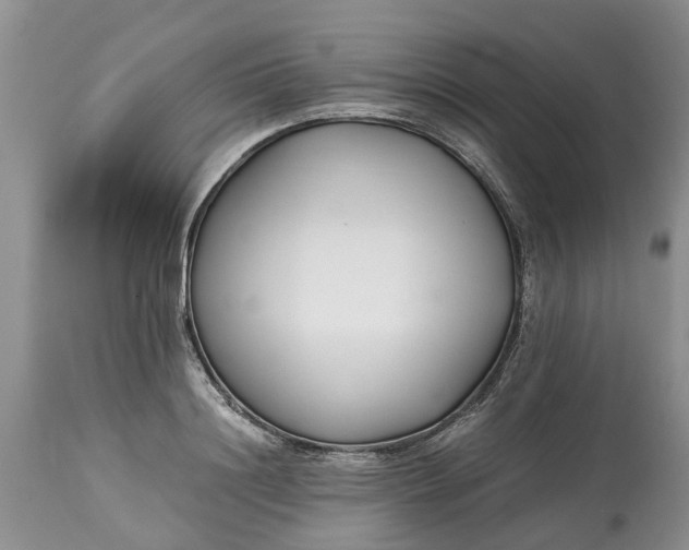 X0000115000844200911091356
