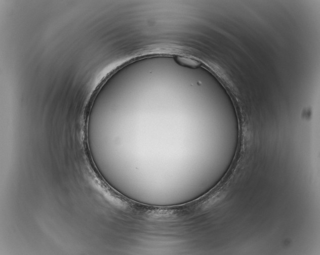 X0000115000846200911091356