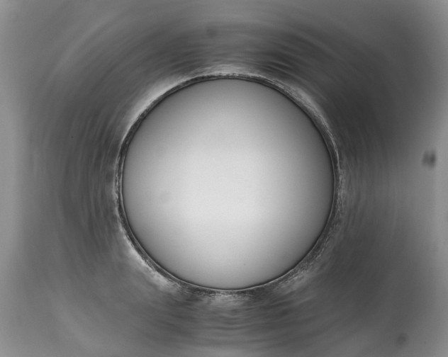 X0000115000847200911091356