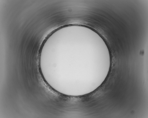 X0000115000848200911091356