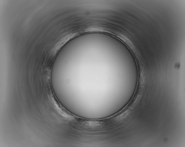 X0000115000849200911091356