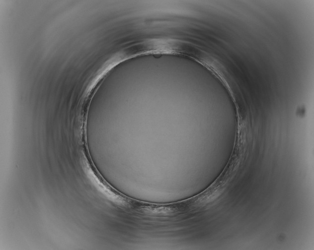 X0000115000851200911091356