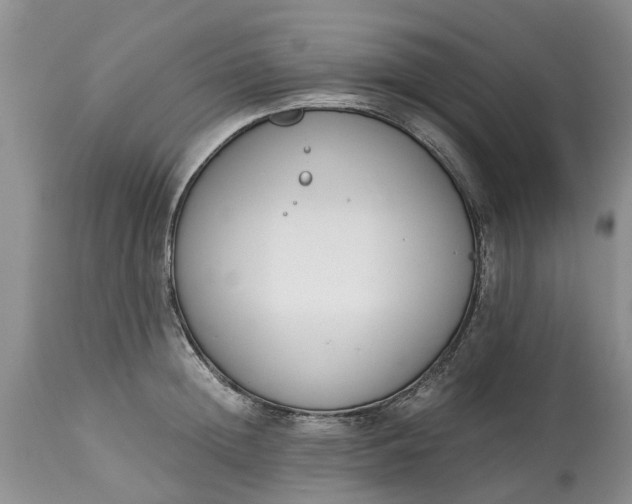 X0000115000852200911091356