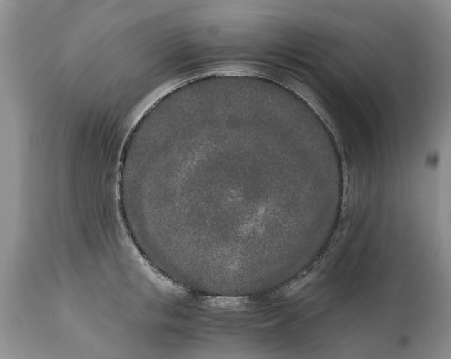 X0000115000853200911091356