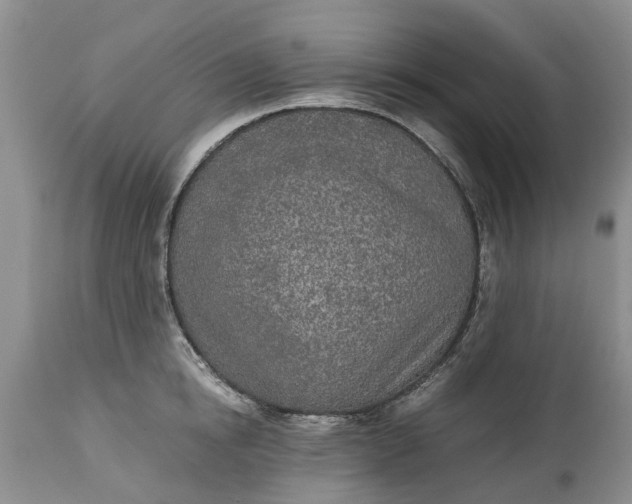 X0000115000854200911091356