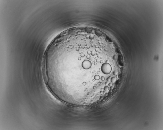 X0000115000855200911091356