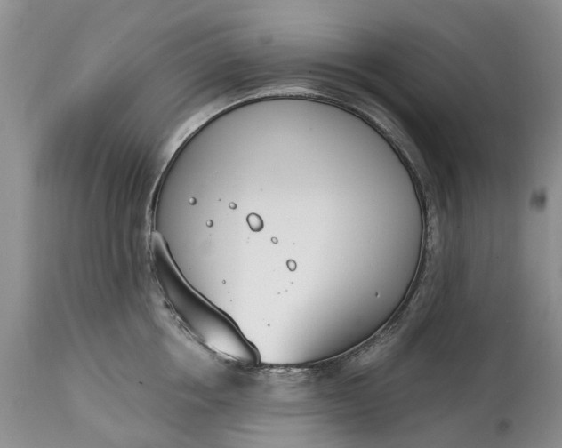 X0000115000858200911091356