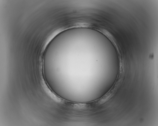 X0000115000859200911091356
