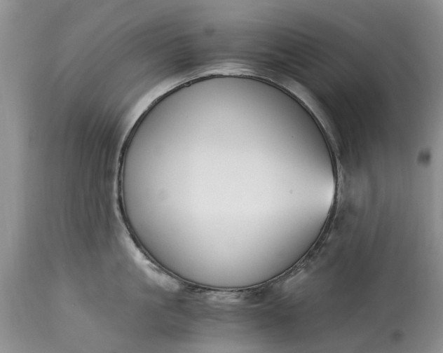 X0000115000861200911091356