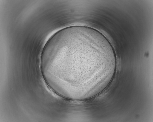 X0000115000862200911091356