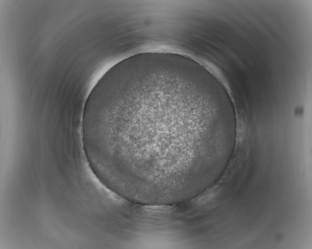 X0000115000863200911091356