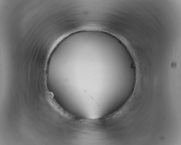 X0000115000864200911091356