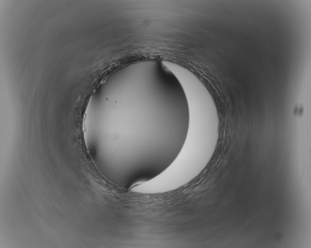 X0000115000865200911091356