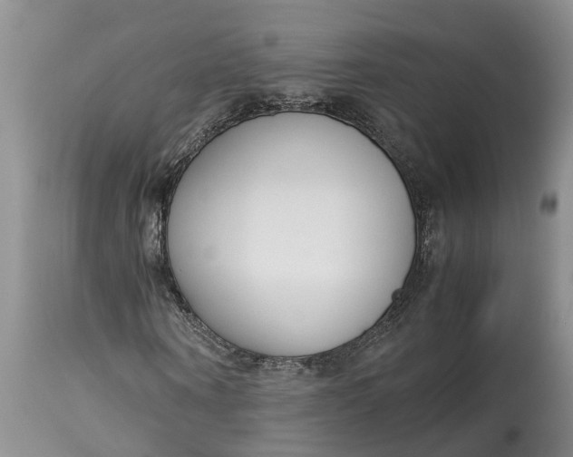 X0000115000866200911091356