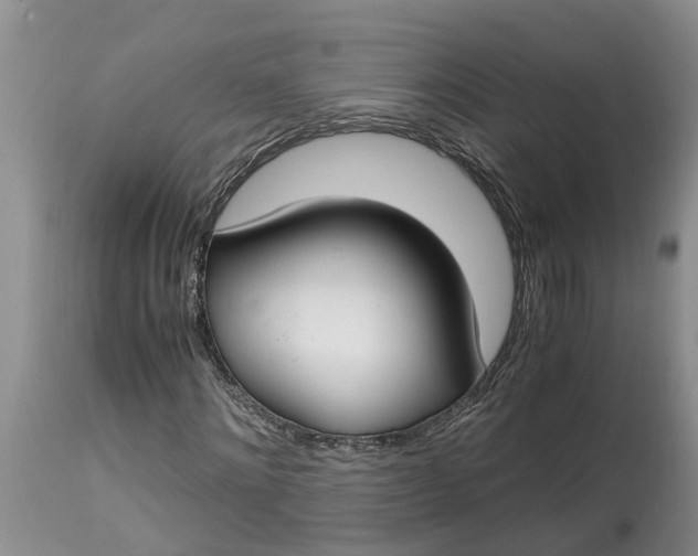 X0000115000868200911091356