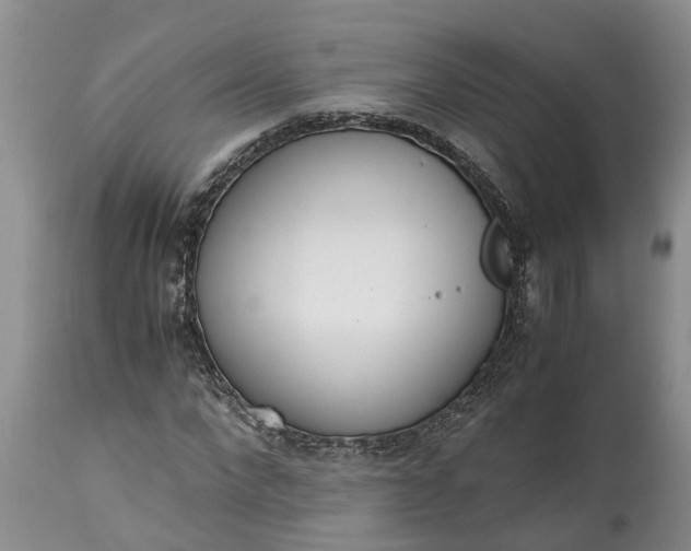 X0000115000872200911091356