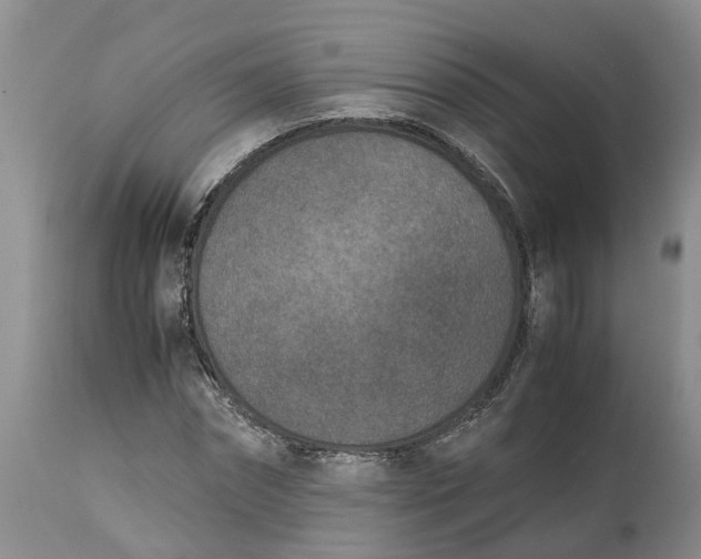 X0000115000874200911091356