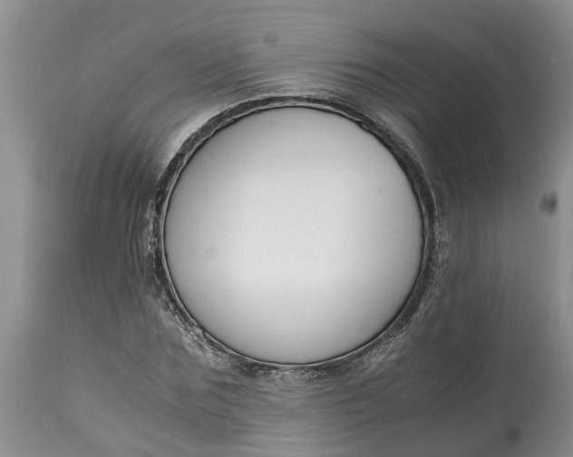 X0000115000875200911091356