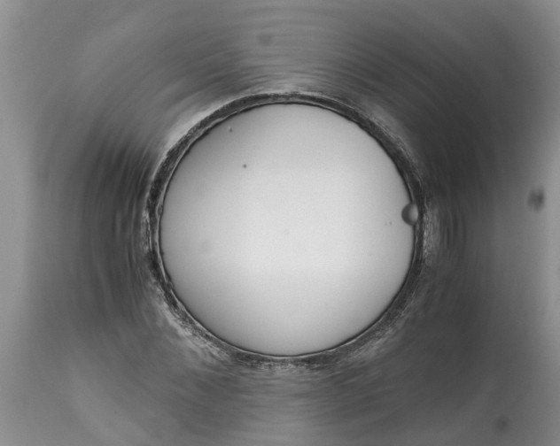 X0000115000876200911091355