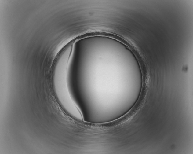 X0000115000877200911091355