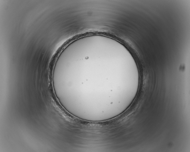 X0000115000878200911091355