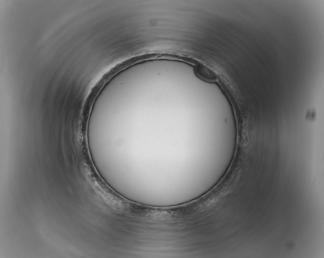 X0000115000880200911091355