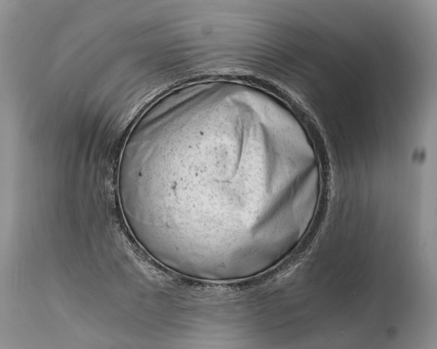 X0000115000881200911091355