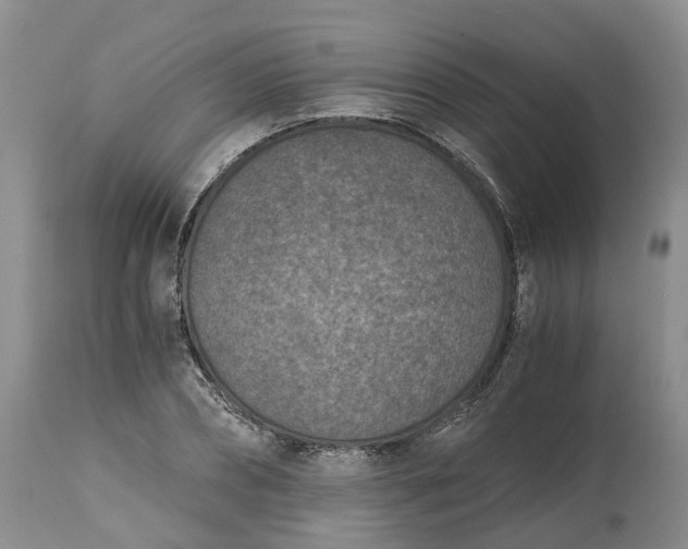 X0000115000882200911091355